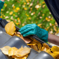 Gutter Cleaning and Maintenance Packages: The Complete Guide