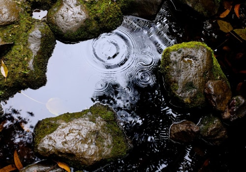 Problems with Improper Drainage and How to Fix Them